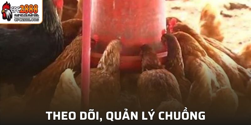 Biết cách vệ sinhquản lý chuồng