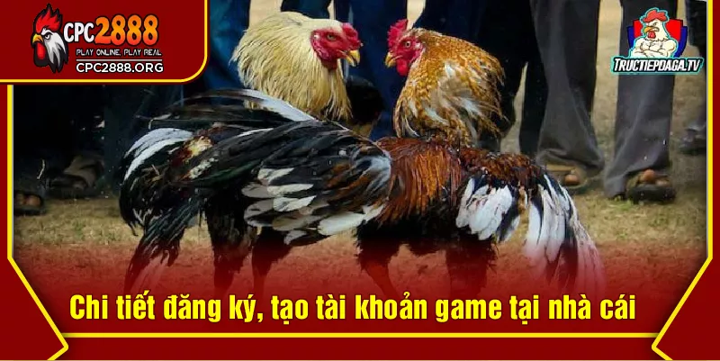 Chi tiết đăng ký, tạo tài khoản game tại nhà cái