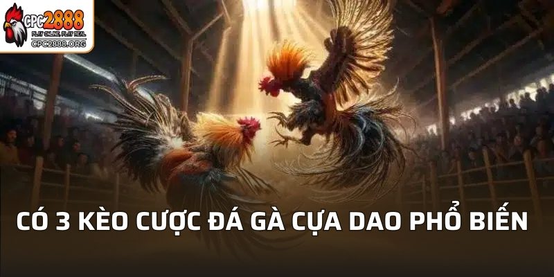 Có 3 kèo cược đá gà cựa dao phổ biến