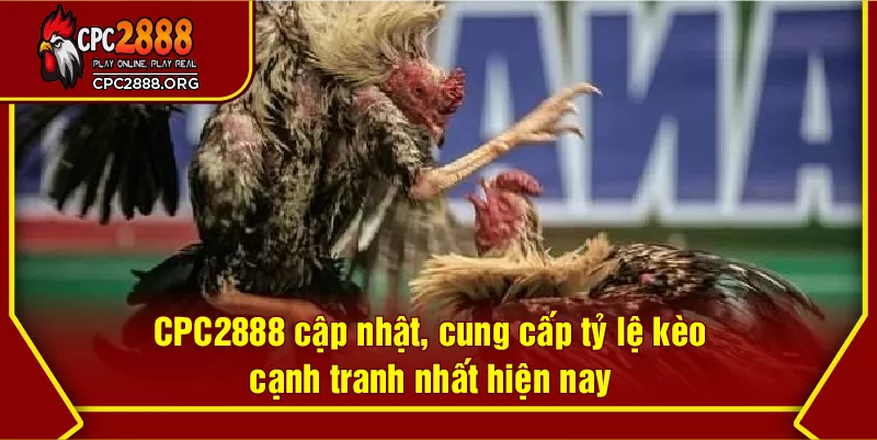 CPC2888 cập nhật, cung cấp tỷ lệ kèo cạnh tranh nhất hiện nay