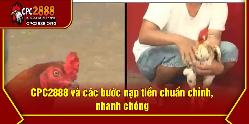 CPC2888 và các bước nạp tiền chuẩn chỉnh, nhanh chóng