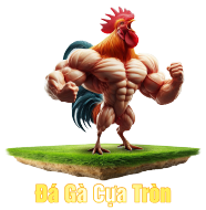 Đá Gà Cựa Tròn CPC2888