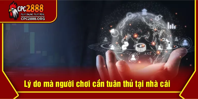Lý do mà người chơi cần tuân thủ tại nhà cái