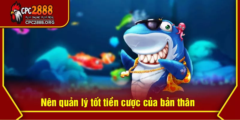 Nên quản lý tốt tiền cược của bản thân