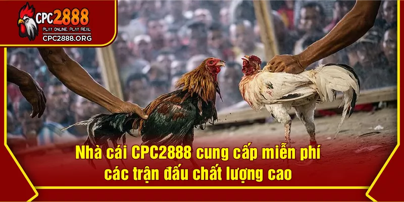Nhà cái CPC2888 cung cấp miễn phí các trận đấu chất lượng cao