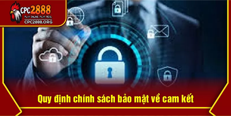 Quy định chính sách bảo mật về cam kết