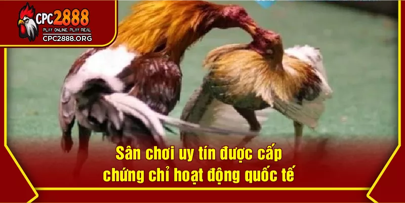 Sân chơi uy tín được cấp chứng chỉ hoạt động quốc tế