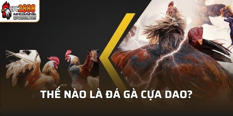 Thế nào là đá gà cựa dao?