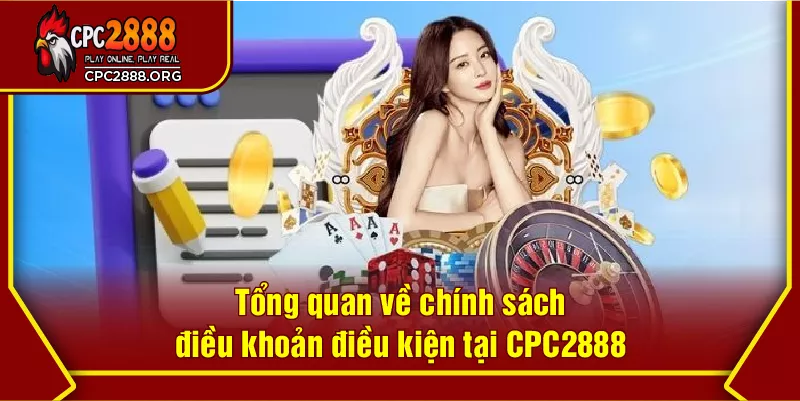 Tổng quan về chính sách điều khoản điều kiện tại CPC2888