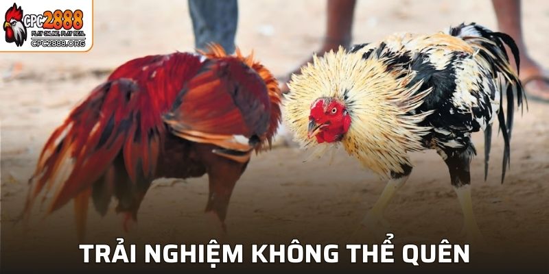 Trải nghiệm không thể quên