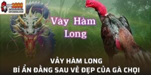 Vảy Hàm Long