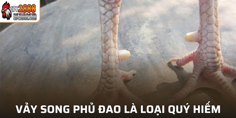 Vảy song phủ đao là loại vô cùng quý hiếm
